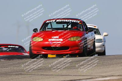 media/Oct-26-2025-CalClub SCCA (Sun) [[8ce1e69566]]/Group 5/Grapevine/